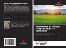 Capa do livro de Valorization of sewage sludge in Tunisian agriculture 