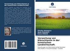Verwertung von Klärschlamm in der tunesischen Landwirtschaft kitap kapağı