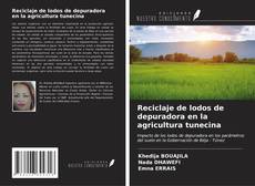Buchcover von Reciclaje de lodos de depuradora en la agricultura tunecina