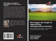 Buchcover von Riciclaggio dei fanghi di depurazione nell'agricoltura tunisina
