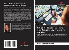 Capa do livro de Pibes Rodando: We are not dangerous, we are in danger 