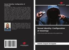 Bookcover of Sexual Identity: Configuration of meanings