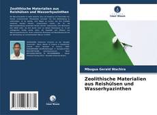Обложка Zeolithische Materialien aus Reishülsen und Wasserhyazinthen