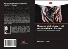 Macro-projet et pauvreté entre réalité et illusion kitap kapağı