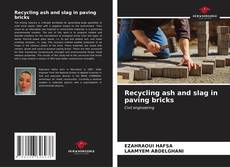 Recycling ash and slag in paving bricks kitap kapağı