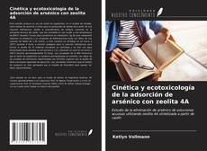 Cinética y ecotoxicología de la adsorción de arsénico con zeolita 4A kitap kapağı