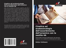 Copertina di Cinetica ed ecotossicologia dell'assorbimento dell'arsenico con la zeolite 4A
