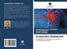 Bookcover of KLINISCHES VADEMECUM
