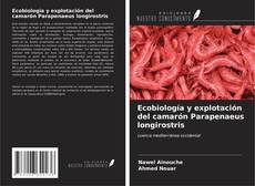 Ecobiología y explotación del camarón Parapenaeus longirostris kitap kapağı