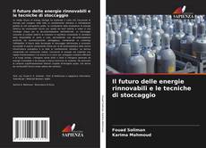 Bookcover of Il futuro delle energie rinnovabili e le tecniche di stoccaggio