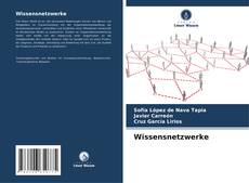 Wissensnetzwerke的封面