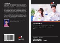 Bookcover of Finocchio