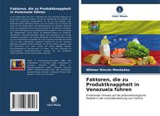 Portada del libro de Faktoren, die zu Produktknappheit in Venezuela führen