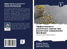 Capa do livro de Эффективность различных сортов при различном содержании фосфора 