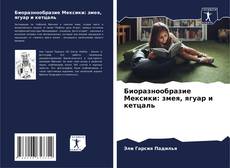 Bookcover of Биоразнообразие Мексики: змея, ягуар и кетцаль