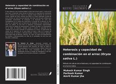 Copertina di Heterosis y capacidad de combinación en el arroz (Oryza sativa L.)