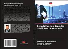 Bookcover of Démulsification dans des conditions de réservoir