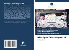 Bookcover of Niedriges Geburtsgewicht