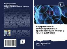 Bookcover of Внутривенная и внутрибрюшинная трансплантация клеток у крыс с диабетом