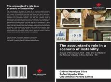The accountant's role in a scenario of instability kitap kapağı