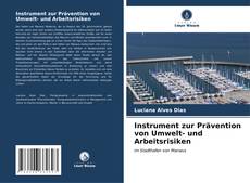 Instrument zur Prävention von Umwelt- und Arbeitsrisiken kitap kapağı