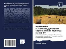 Buchcover von Выявление высокопродуктивных сортов мягкой пшеницы в зоне ОН