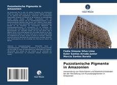 Bookcover of Puzzolanische Pigmente in Amazonien