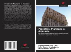 Capa do livro de Pozzolanic Pigments in Amazonia 