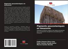 Pigments pouzzolaniques en Amazonie的封面