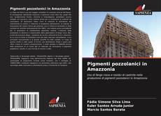 Bookcover of Pigmenti pozzolanici in Amazzonia