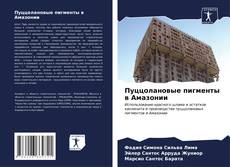 Bookcover of Пуццолановые пигменты в Амазонии