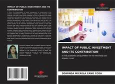 IMPACT OF PUBLIC INVESTMENT AND ITS CONTRIBUTION kitap kapağı