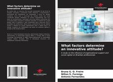 Bookcover of What factors determine an innovative attitude?