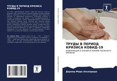 ТРУДЫ В ПЕРИОД КРИЗИСА КОВИД-19的封面