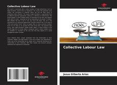 Bookcover of Collective Labour Law