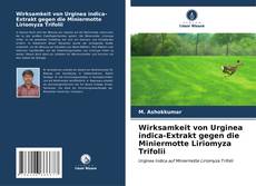 Обложка Wirksamkeit von Urginea indica-Extrakt gegen die Miniermotte Liriomyza Trifolii