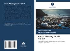 Bookcover of Haiti: Abstieg in die Hölle?