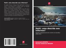 Buchcover von Haiti: uma descida aos infernos?