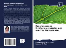 Bookcover of Использование Eichhornia crasspies для очистки сточных вод