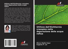 Buchcover von Utilizzo dell'Eichhornia crasspies nella depurazione delle acque reflue