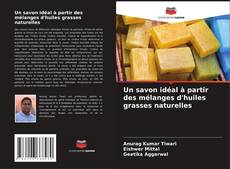 Buchcover von Un savon idéal à partir des mélanges d'huiles grasses naturelles