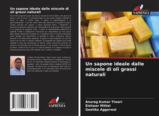 Bookcover of Un sapone ideale dalle miscele di oli grassi naturali