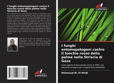 Buchcover von I funghi entomopatogeni contro il tonchio rosso della palma nella Striscia di Gaza