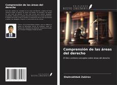 Comprensión de las áreas del derecho kitap kapağı