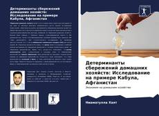 Bookcover of Детерминанты сбережений домашних хозяйств: Исследование на примере Кабула, Афганистан