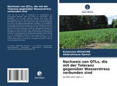 Bookcover of Nachweis von QTLs, die mit der Toleranz gegenüber Wasserstress verbunden sind