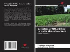 Buchcover von Detection of QTLs linked to water stress tolerance