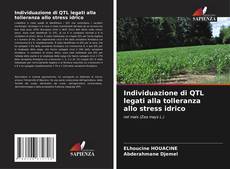 Capa do livro de Individuazione di QTL legati alla tolleranza allo stress idrico 