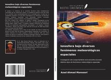 Copertina di Ionosfera bajo diversos fenómenos meteorológicos espaciales