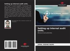 Bookcover of Setting up internal audit units.
